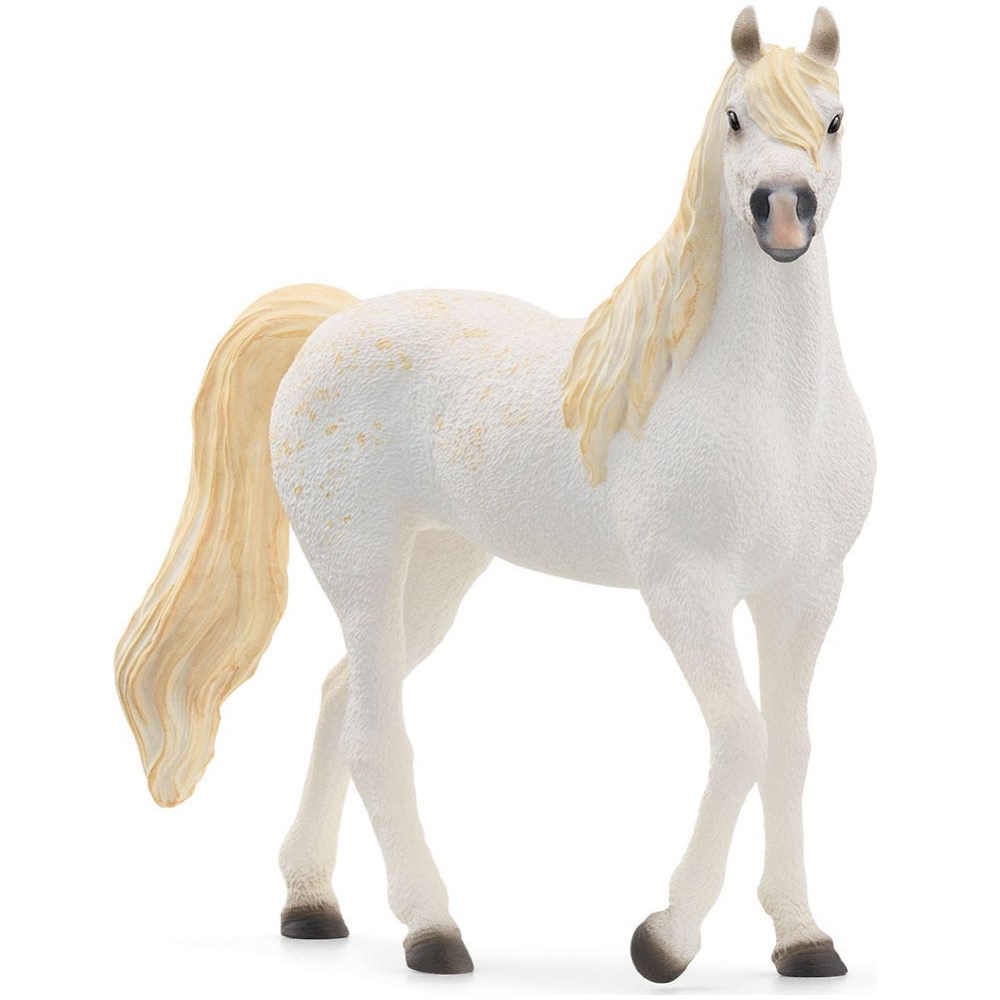 Arab Mare