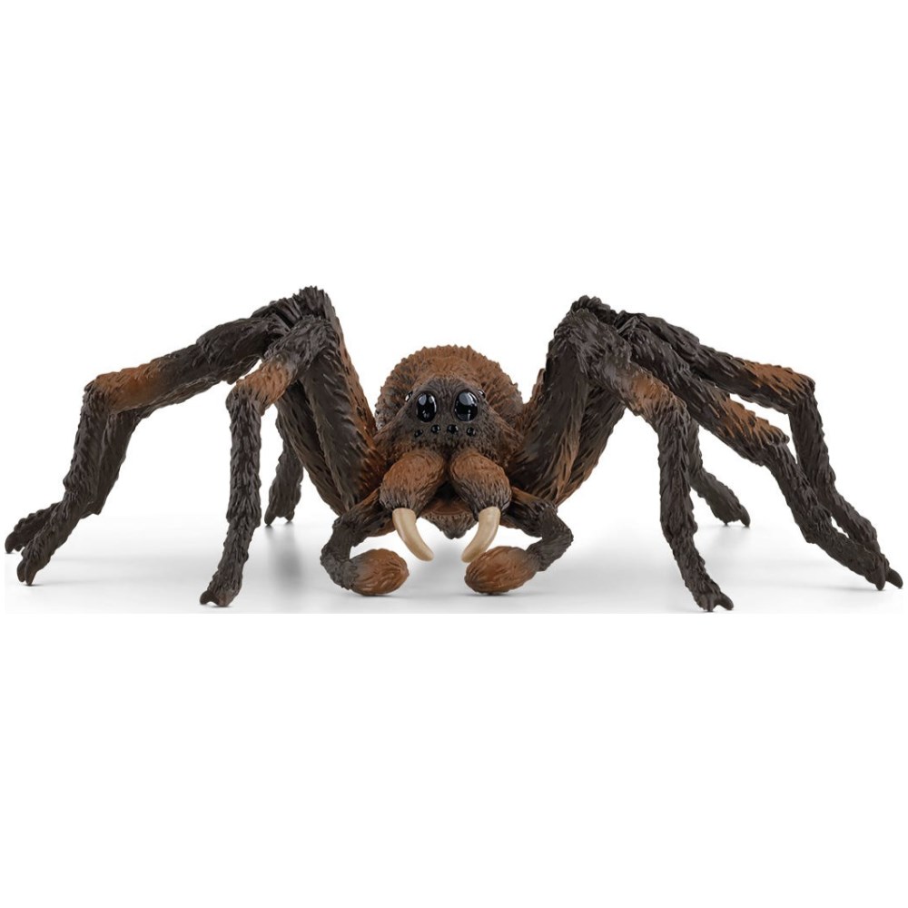 Aragog