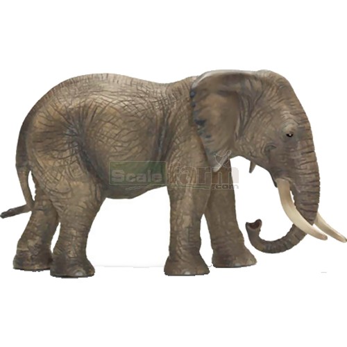 African Elephant, Female