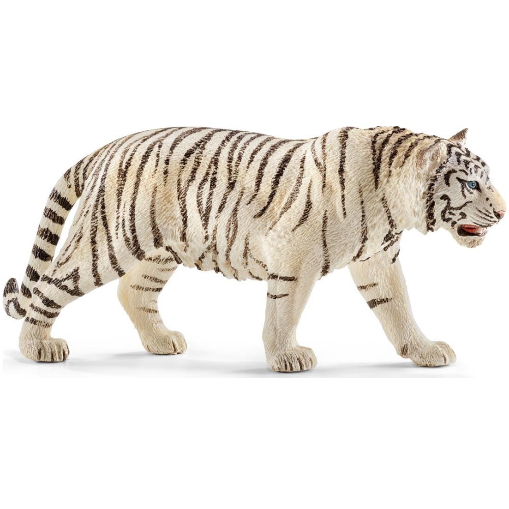 Tiger, White