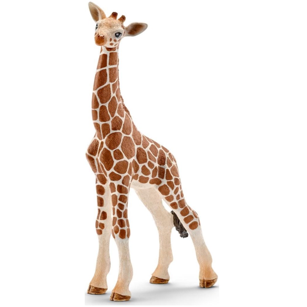 Giraffe Calf