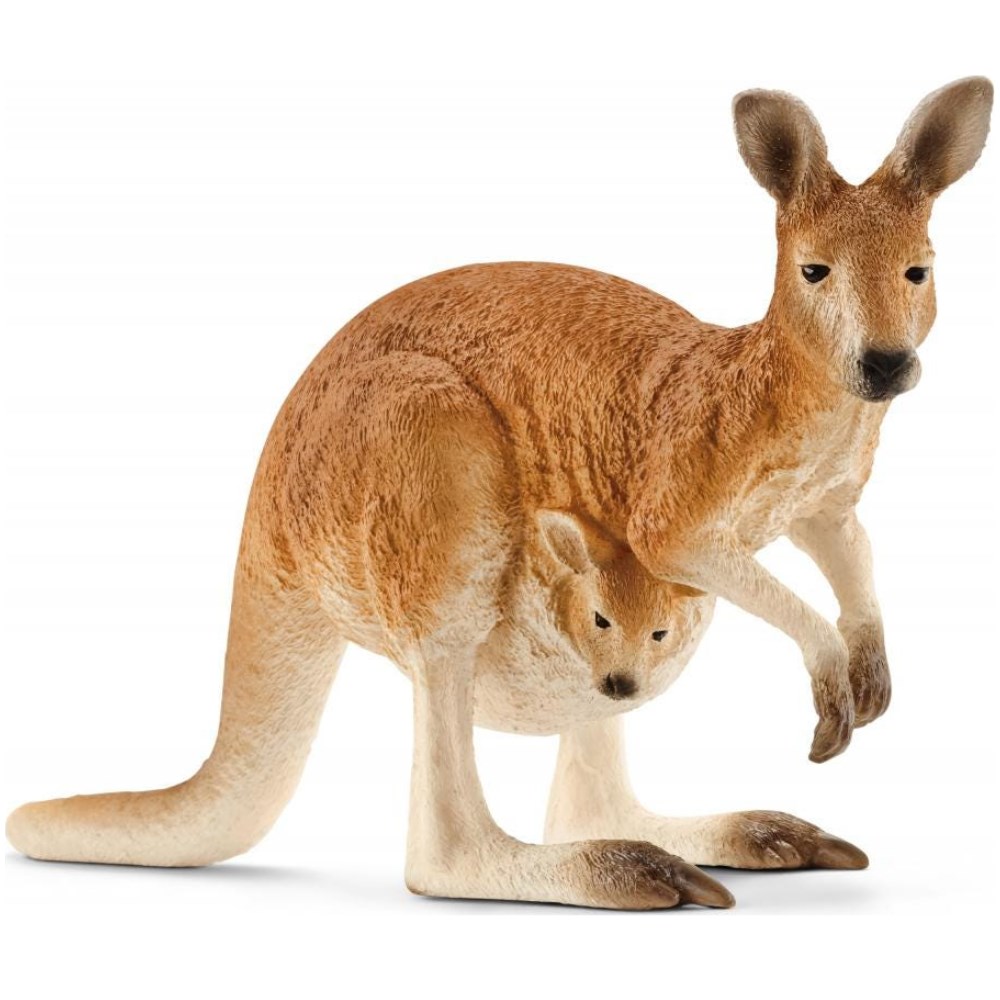 Kangaroo