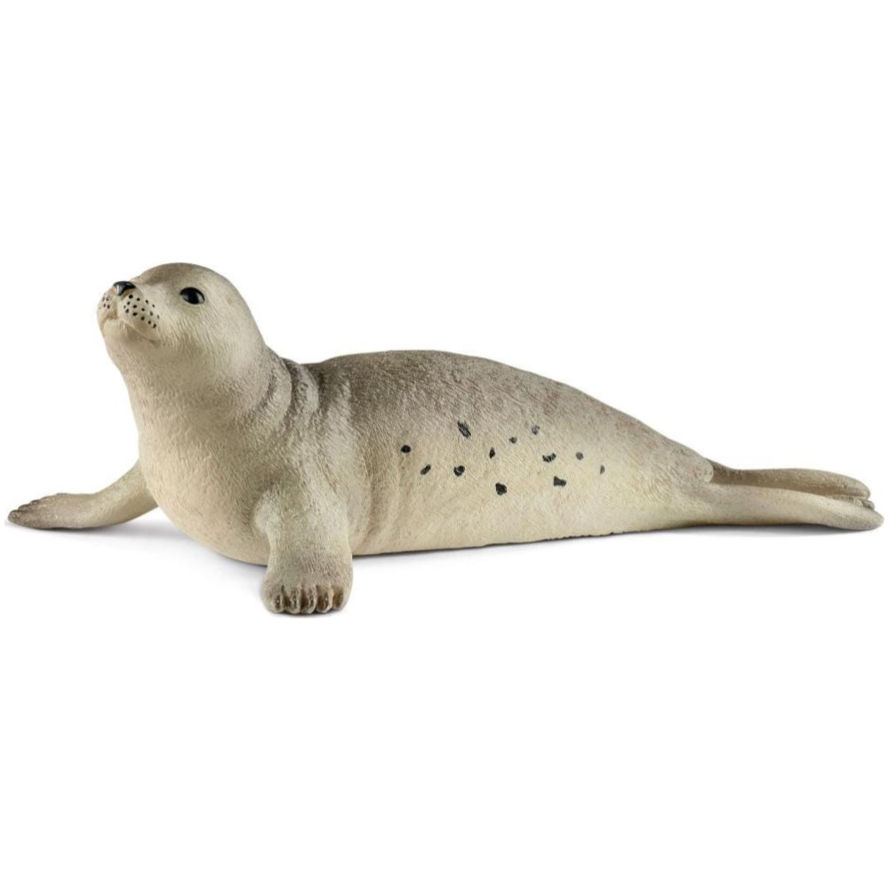 Seal