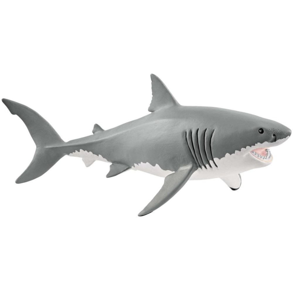 Great White Shark
