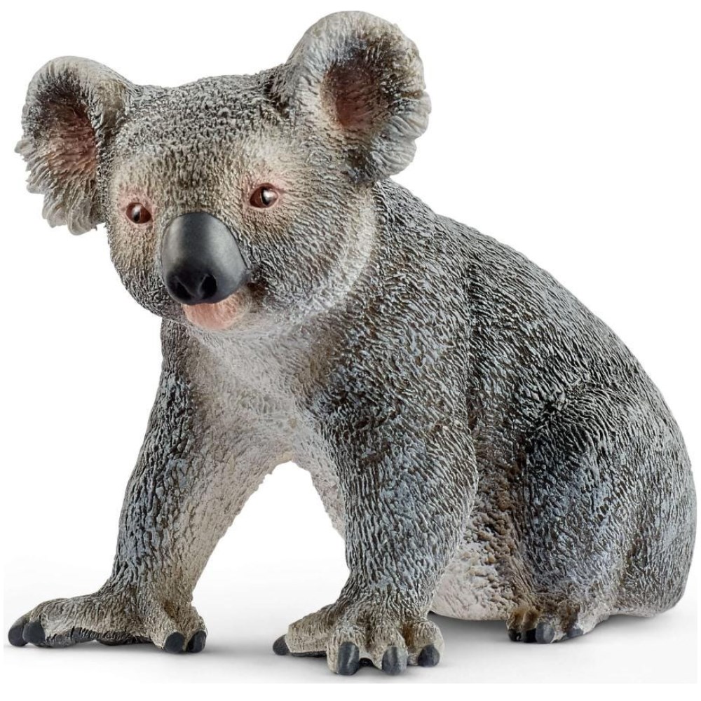 Koala bear