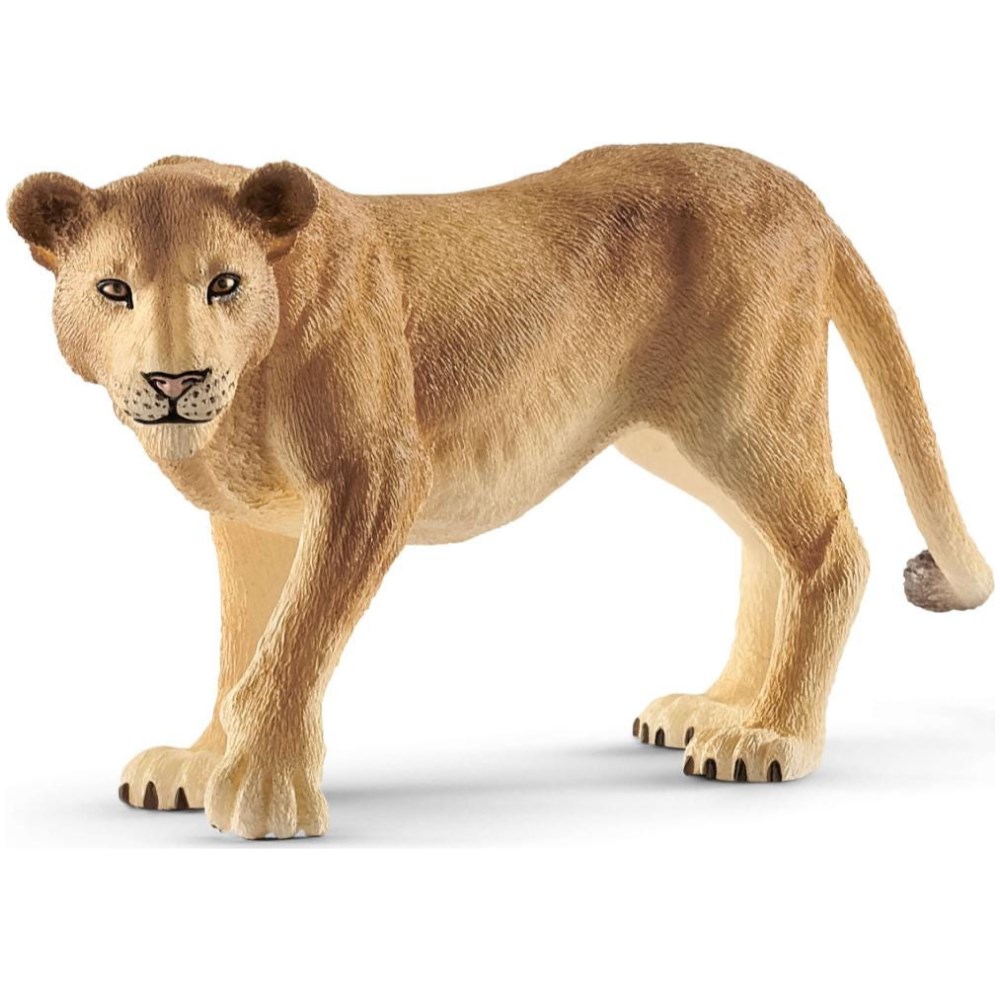 Lioness
