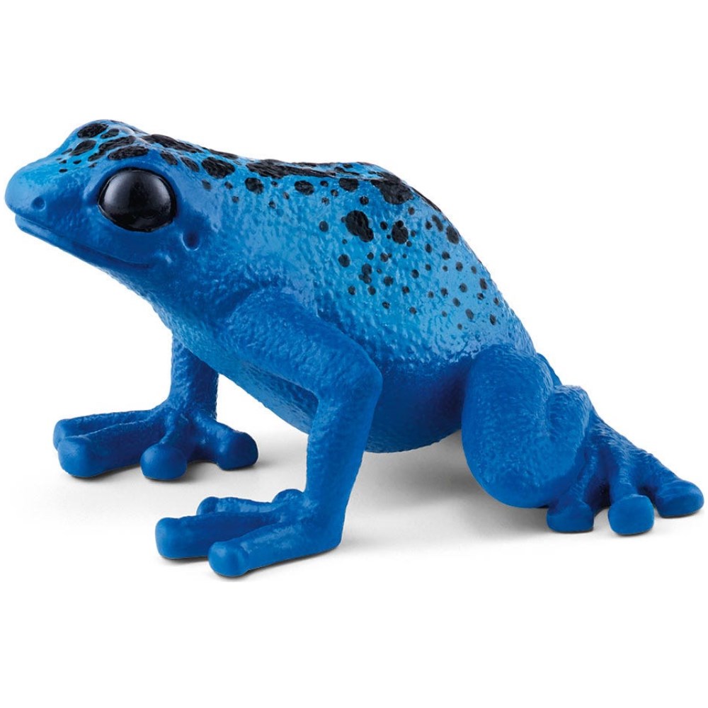 Blue Poison Dart Frog