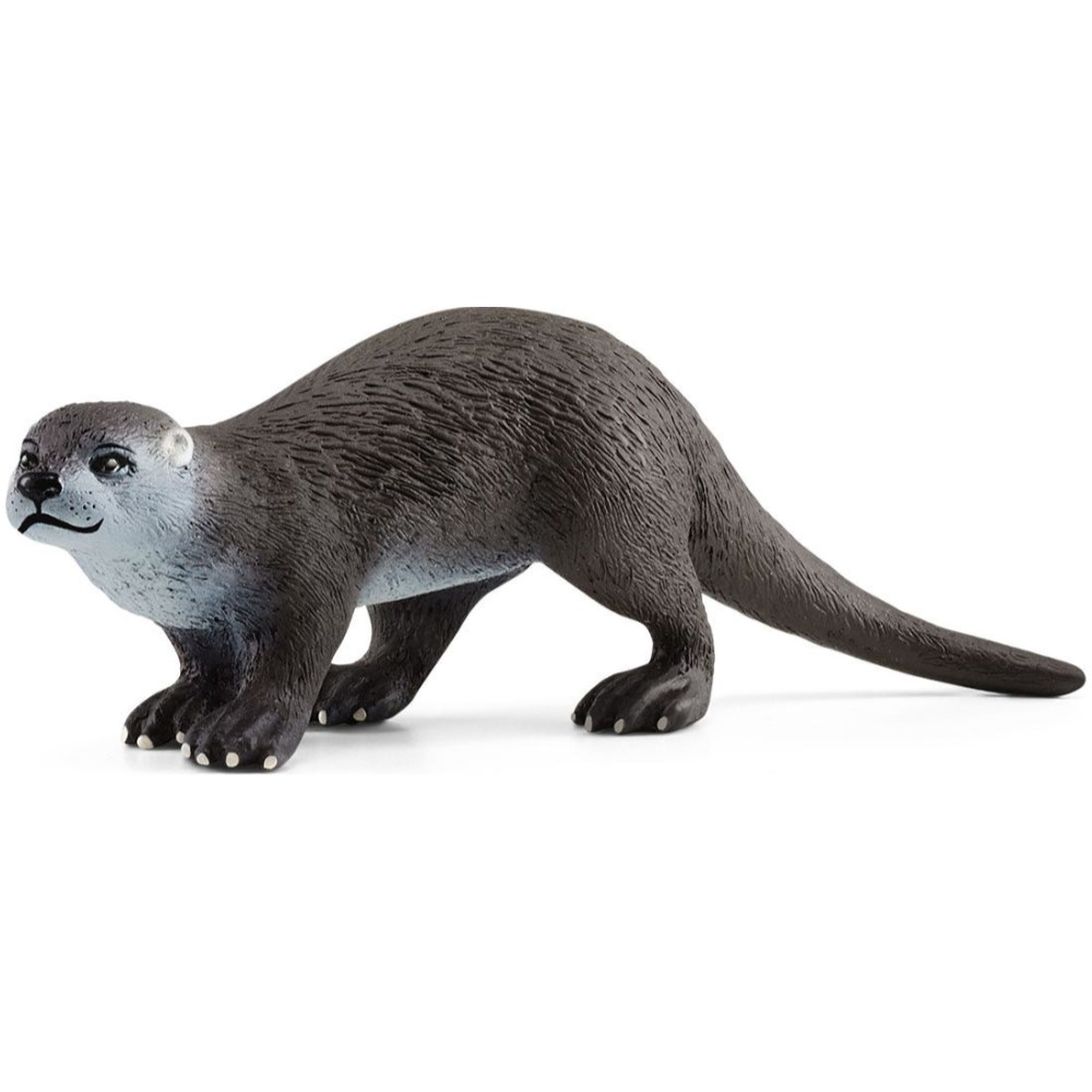 Otter
