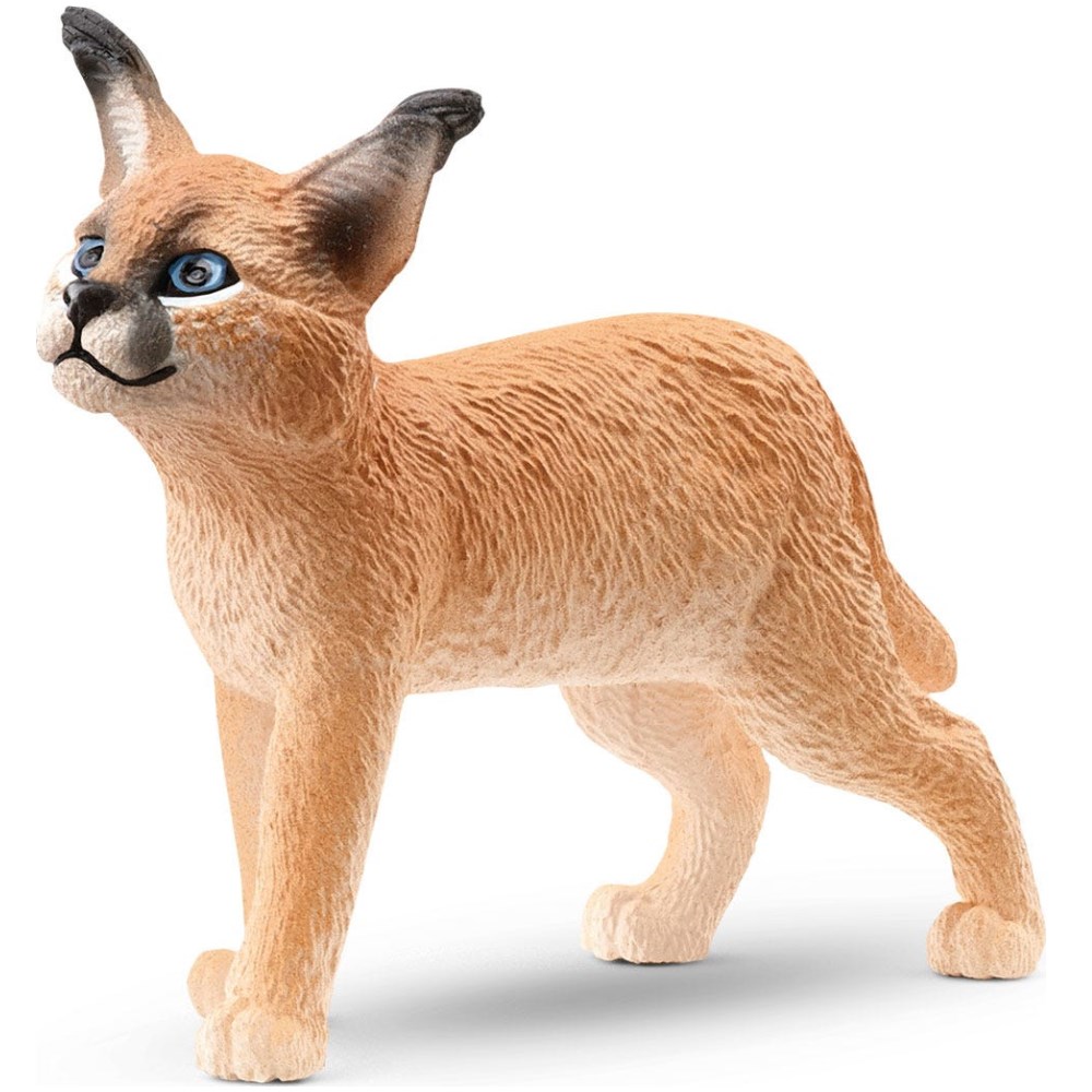 Caracal Cub