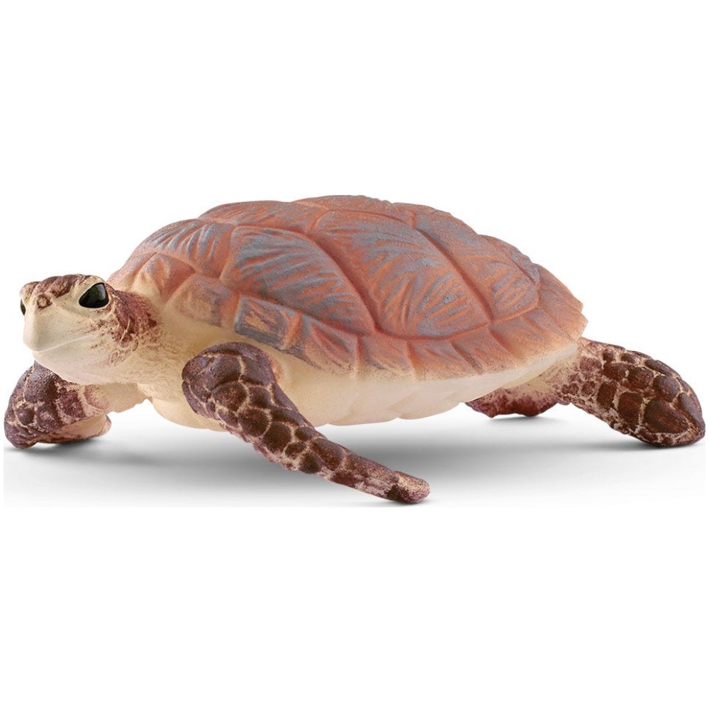 Hawksbill Sea Turtle