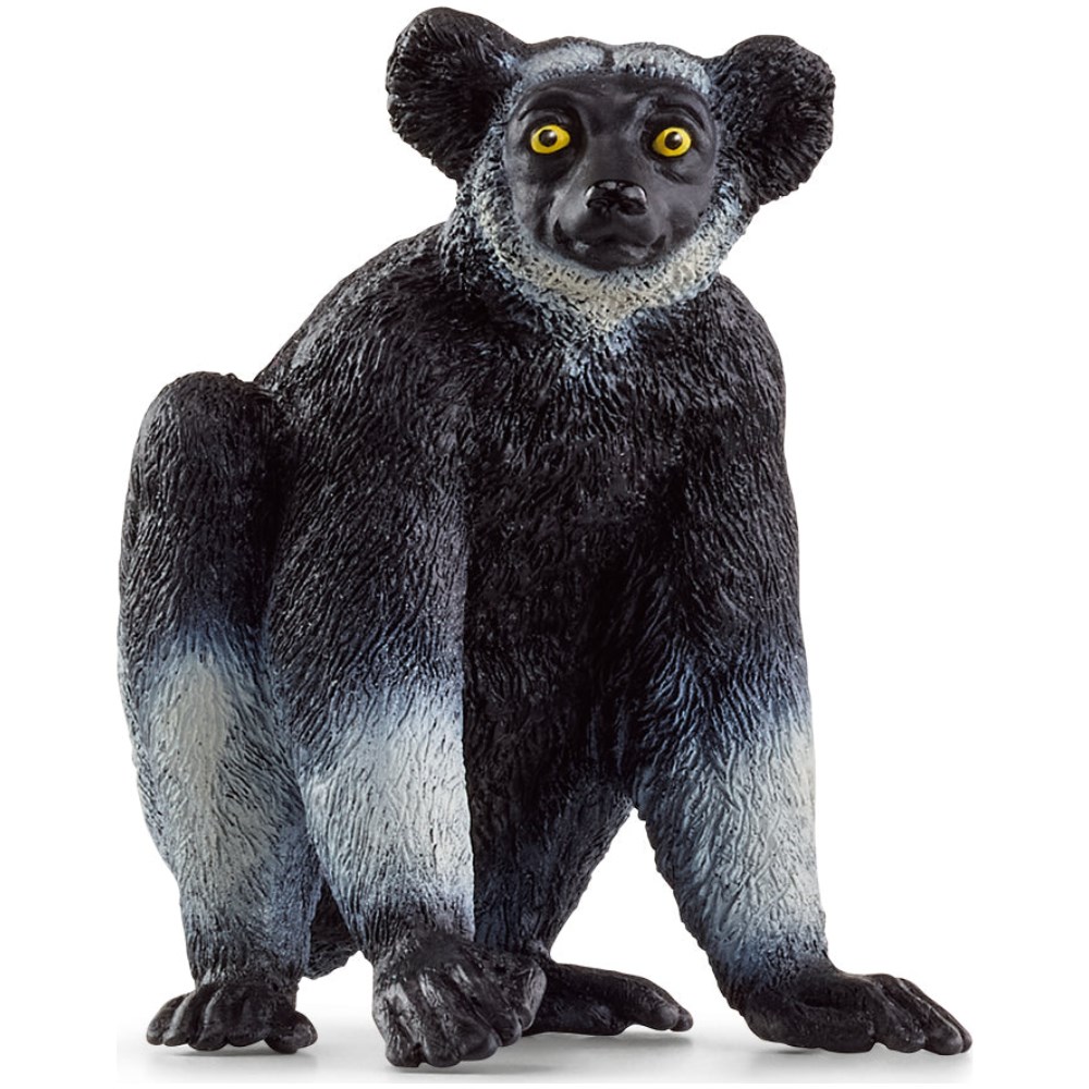 Indri