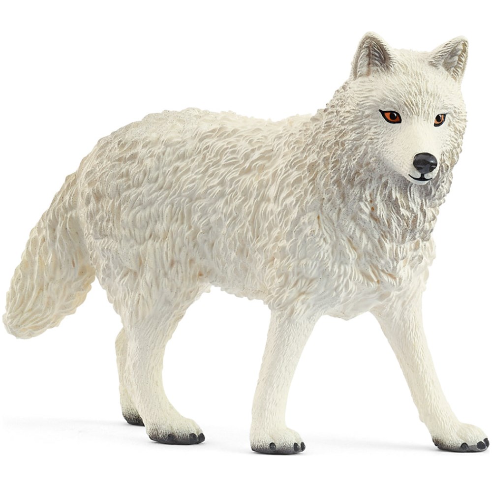Arctic Wolf