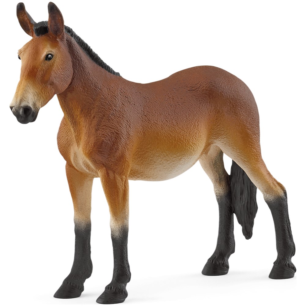 Mule