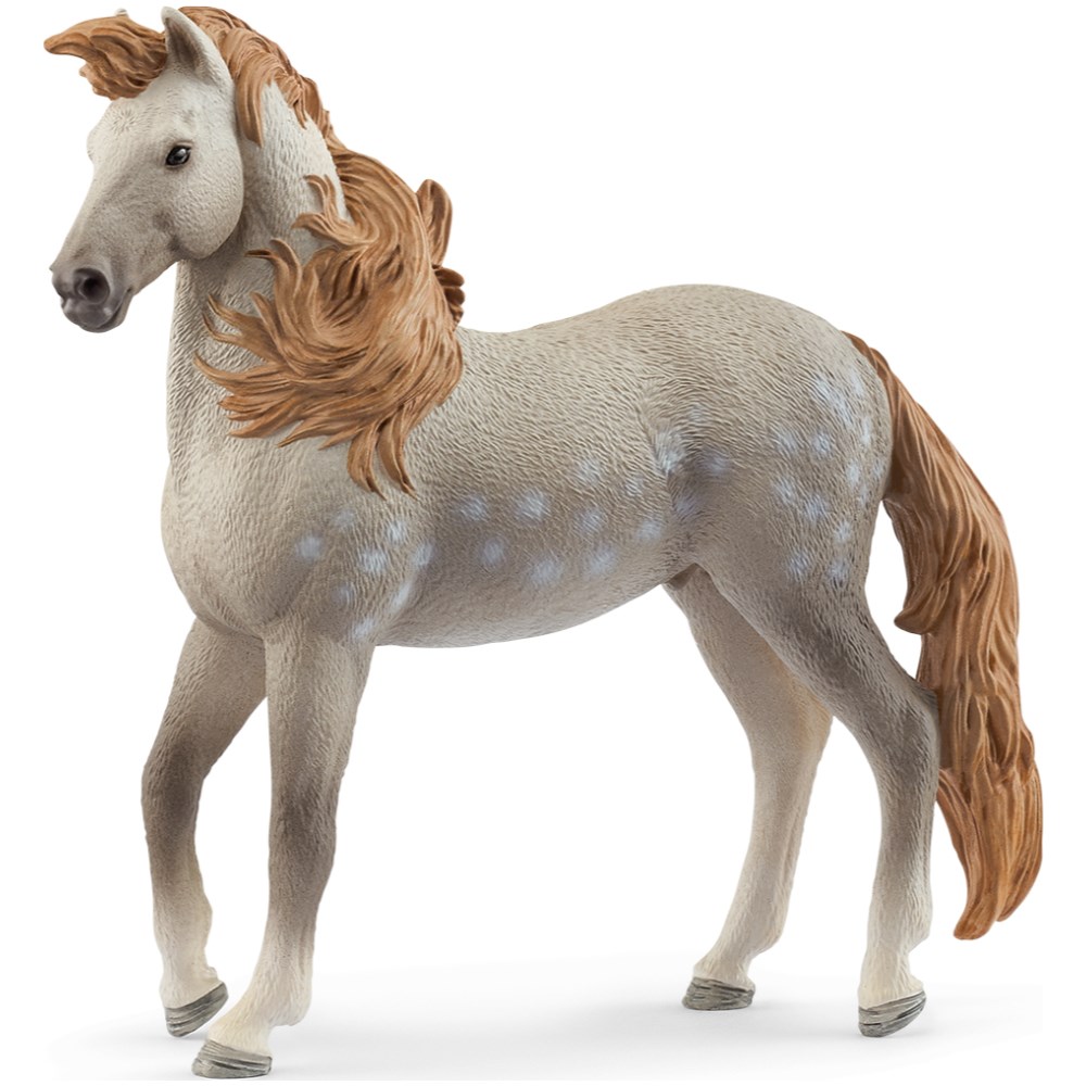 Andalusian Stallion