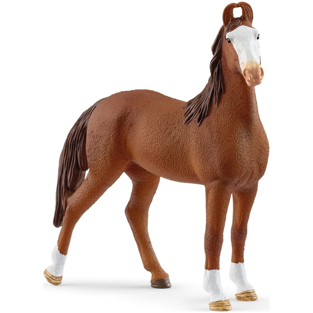 Marwari Mare