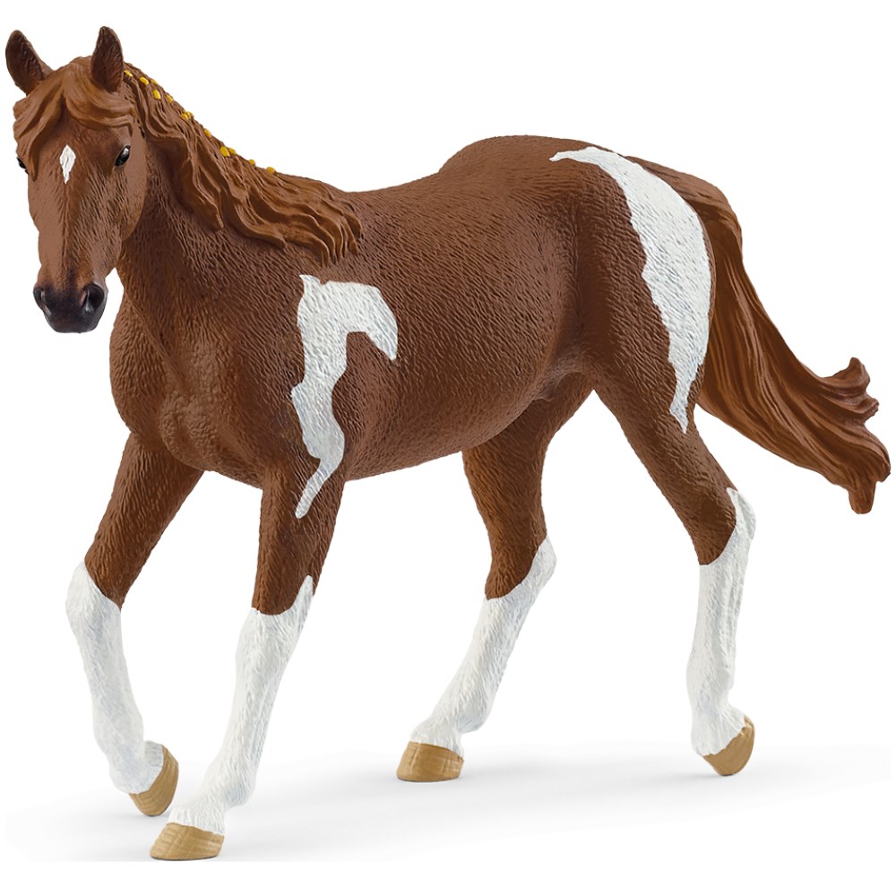 Paint Horse Mare