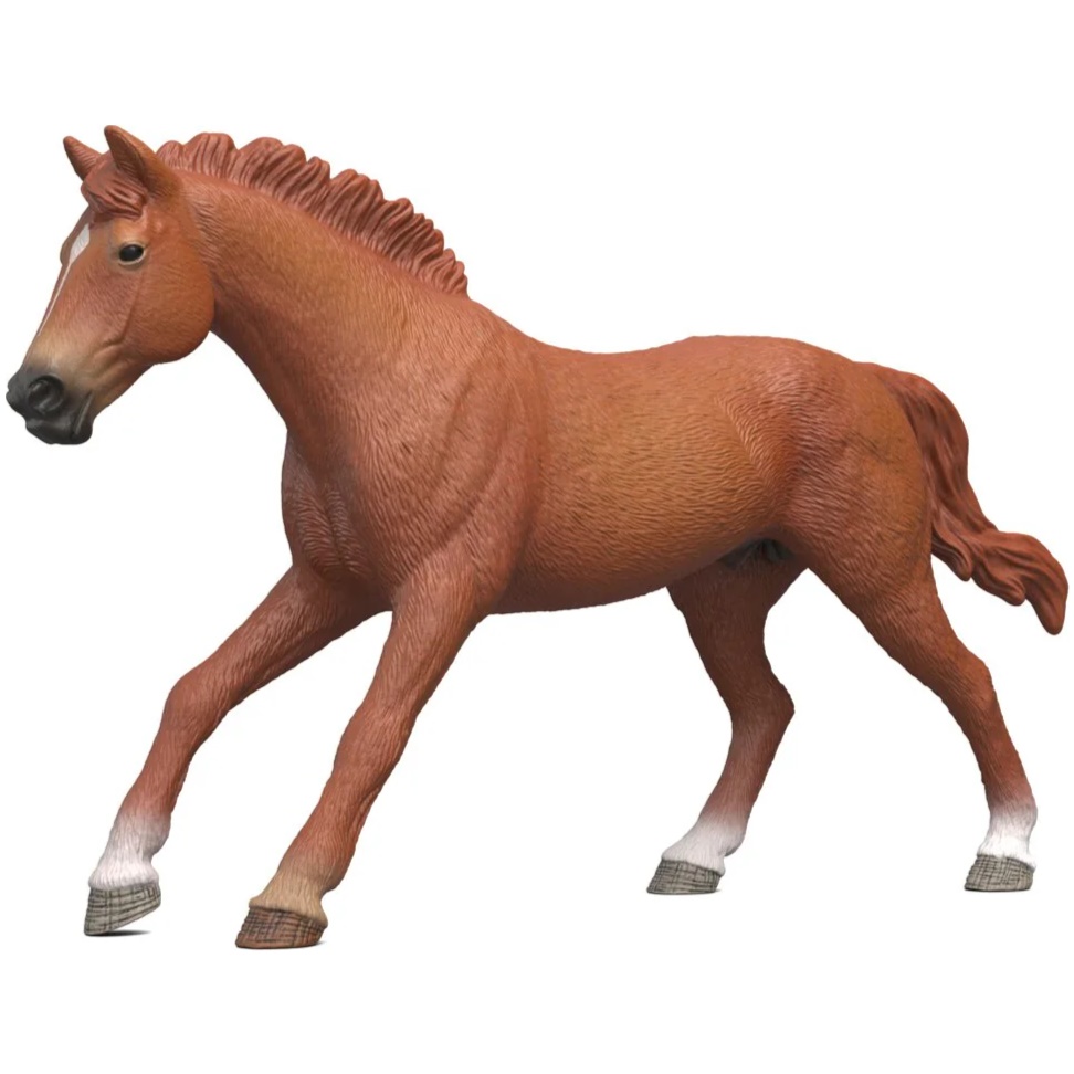 English Thoroughbred Stallion