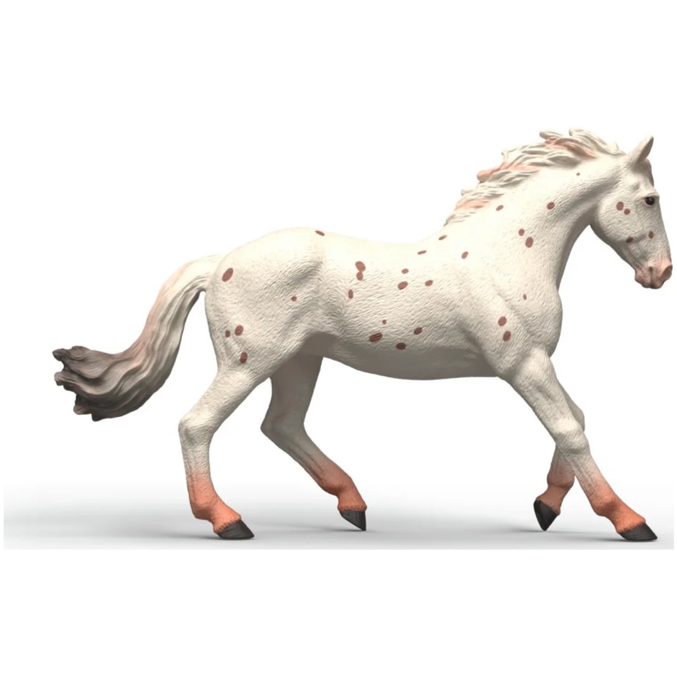 Knabstrupper Mare