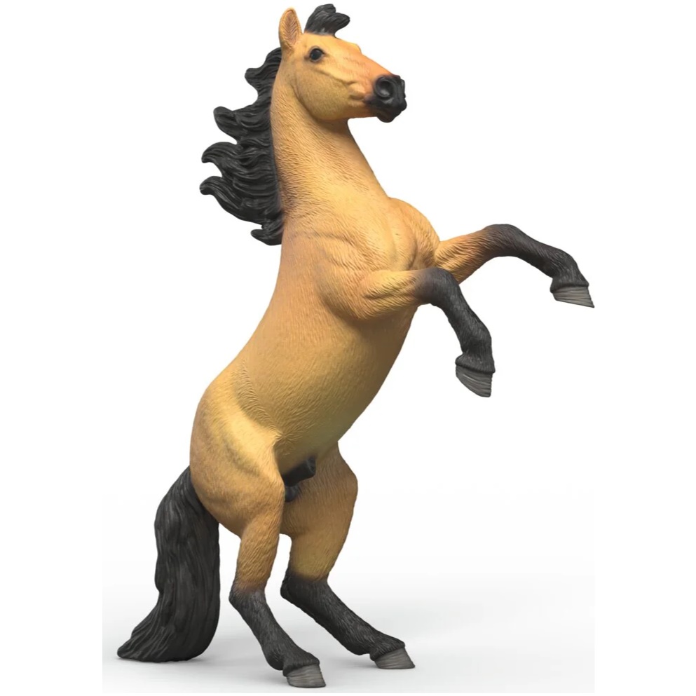 Mustang Stallion