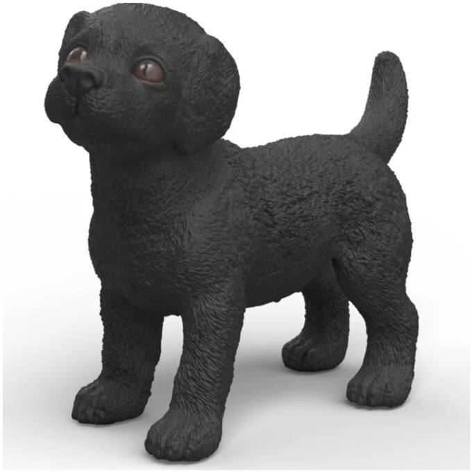 Black Labrador Puppy