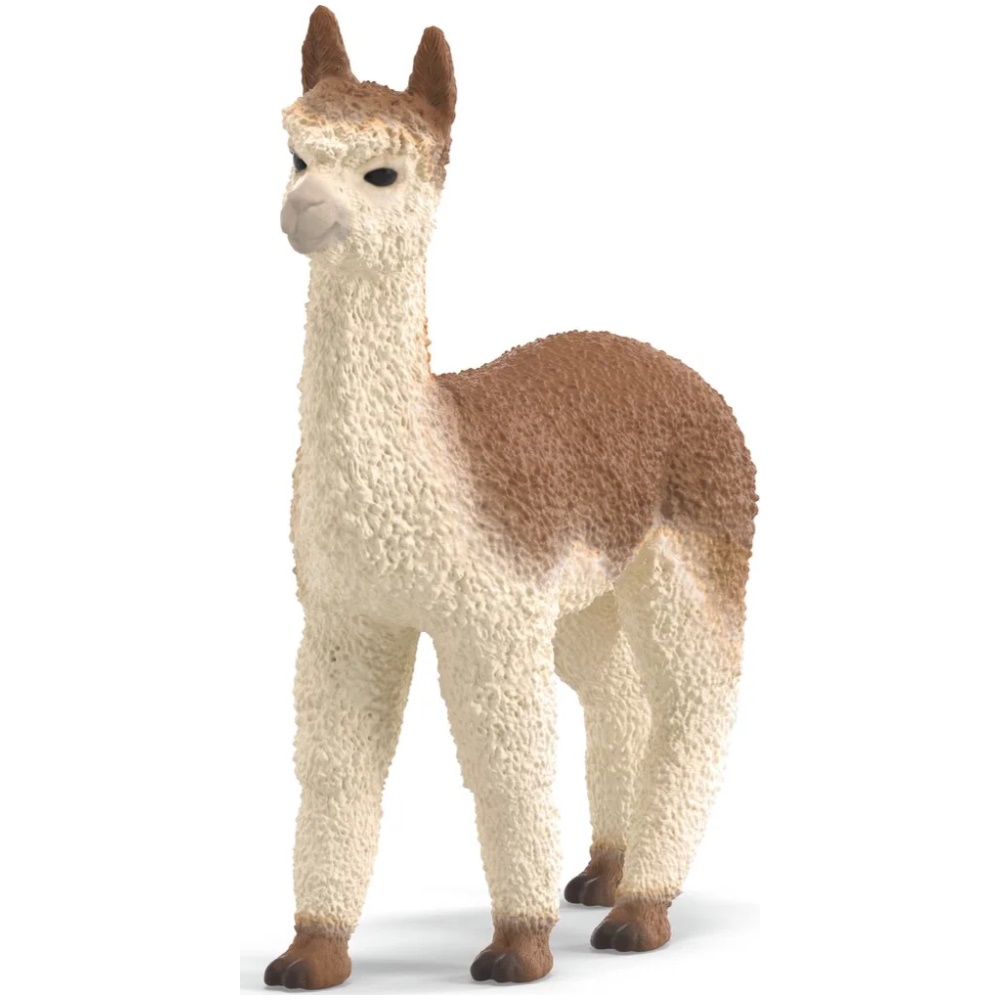 Alpaca
