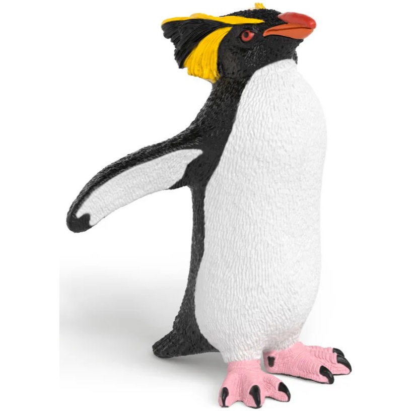 Rockhopper Penguin