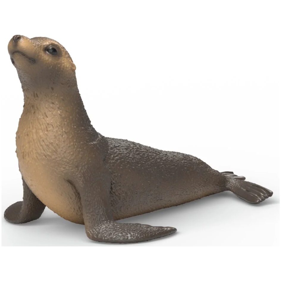 Sea Lion