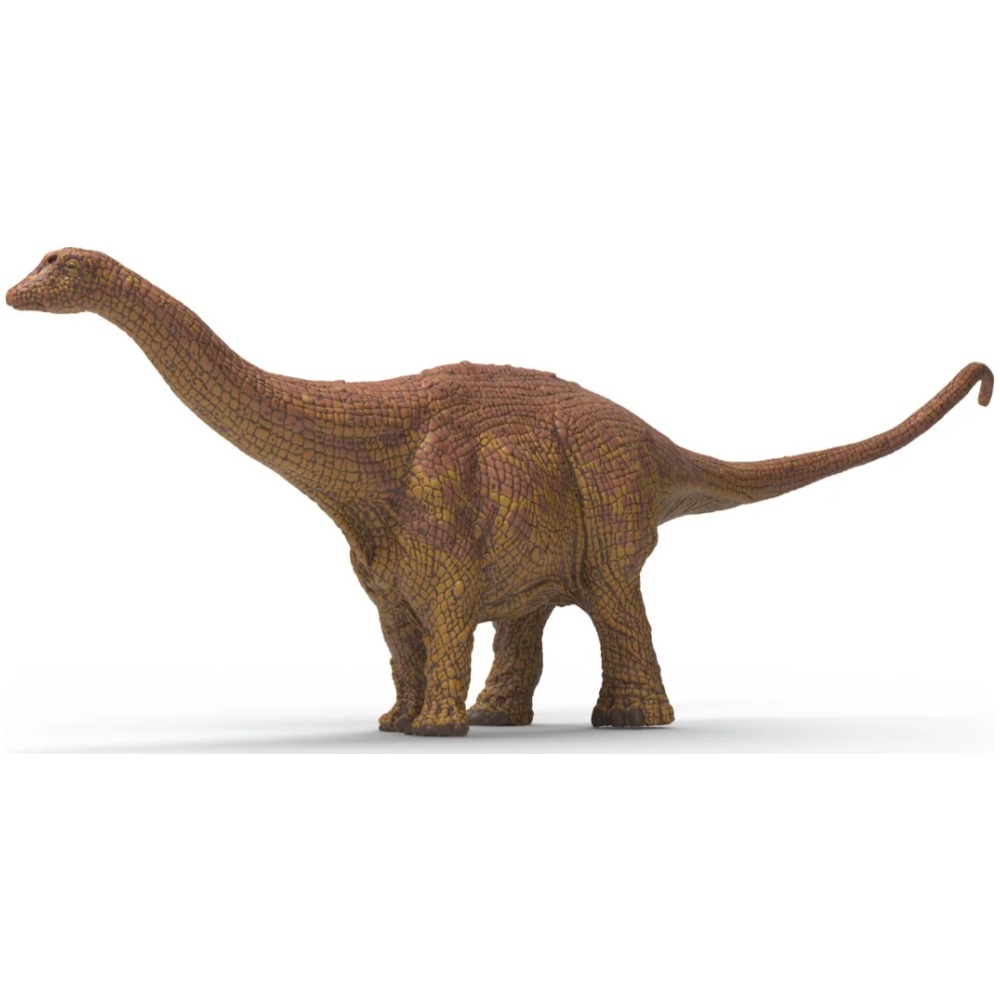 Brontosaurus