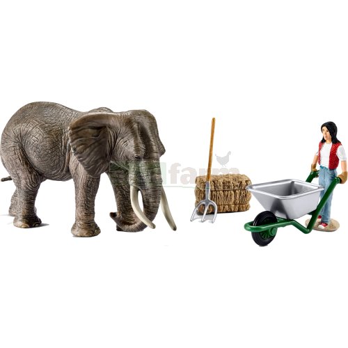 Elephant Care Set