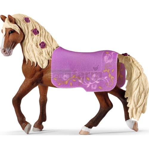 Paso Fino Stallion - Horse Show