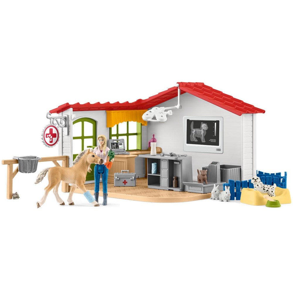 Veterinarian Practice Set
