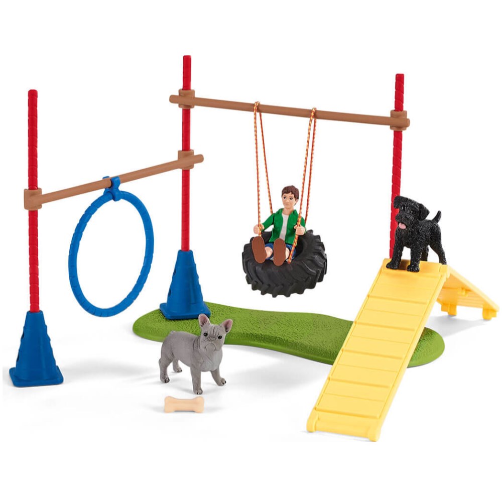 Puppy Agility Training