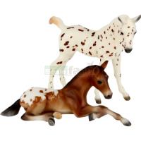 Preview Appaloosa Foals (Set of Two) - Spirit of the Horse