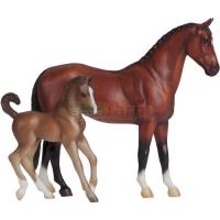 Preview Blood Bay Warmblood and Liver Chestnut Foal