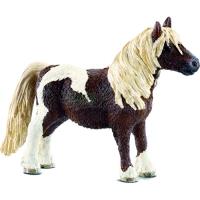 Preview Shetland Pony Gelding