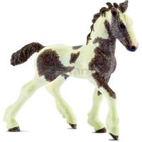 Preview Tinker Foal