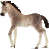 Preview Andalusian Foal