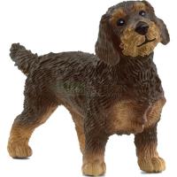 Preview Wire-Haired Dachshund