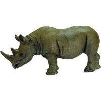 Preview African Black Rhino