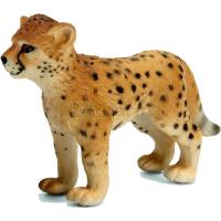 Preview Cheetah Cub