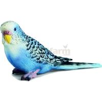 Preview Budgie, Blue