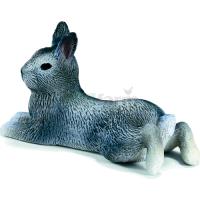 Preview Pygmy Rabbit