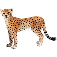 Preview Cheetah, Female