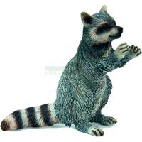 Preview Raccoon, Standing