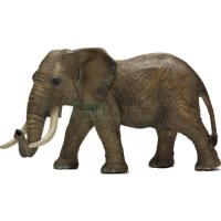 Preview African Elephant, Male