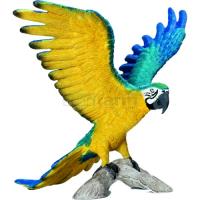 Preview Blue and Yellow Macaw