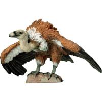 Preview Griffon Vulture