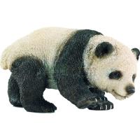 Preview Giant Panda Cub