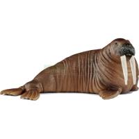 Preview Walrus