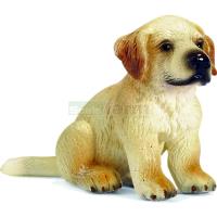 Preview Golden Retriever puppy